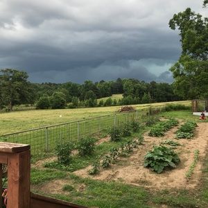 Meet your Posher, Bonnie